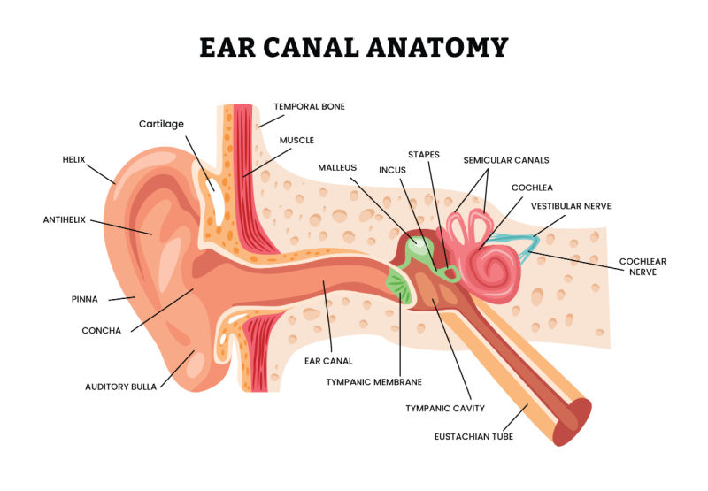 Earwax Removal Treatment Stourbridge - Private Healthcare